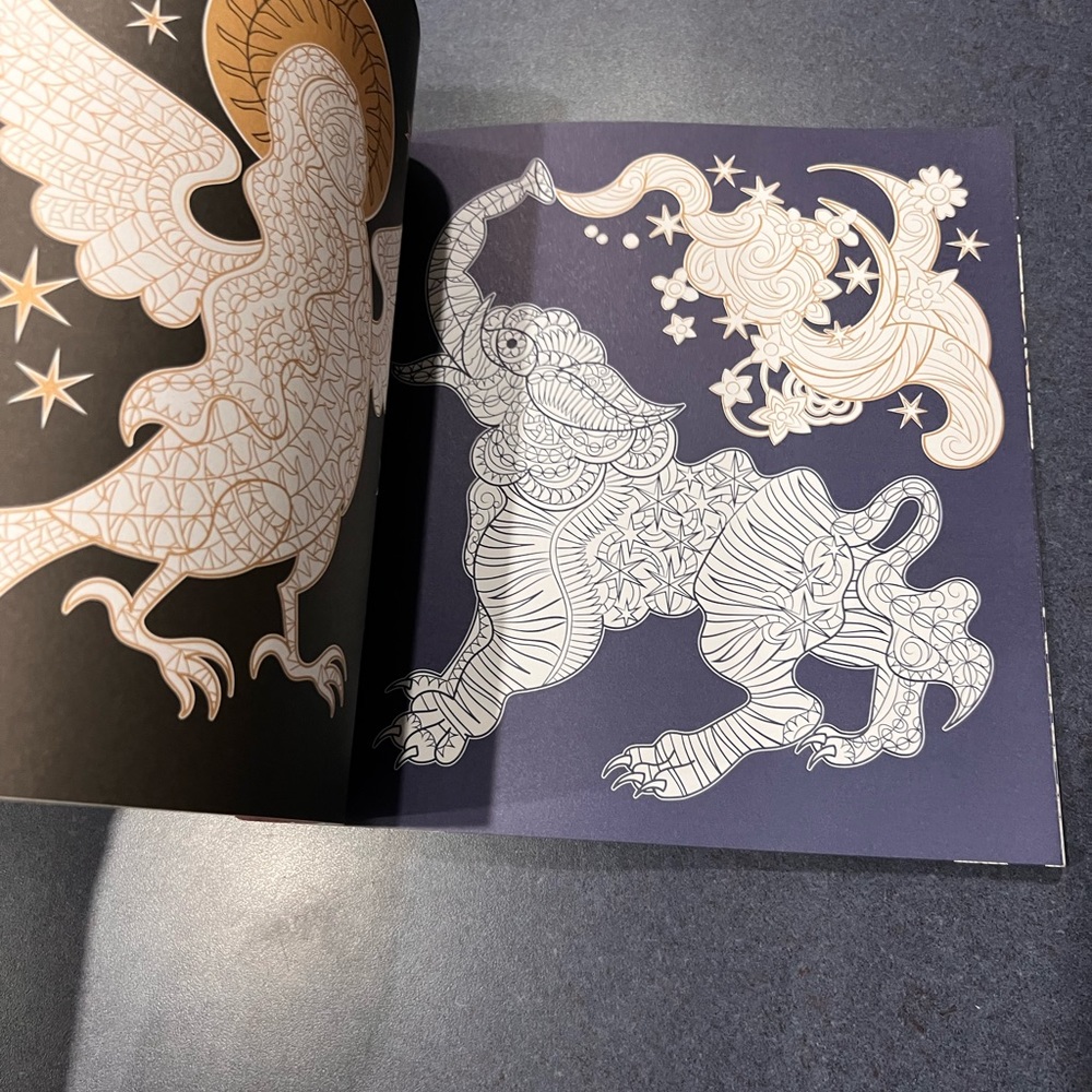 FABULOUS BEASTS:  Night and Day Adult Coloring Book  NEW - Picture 6 of 14